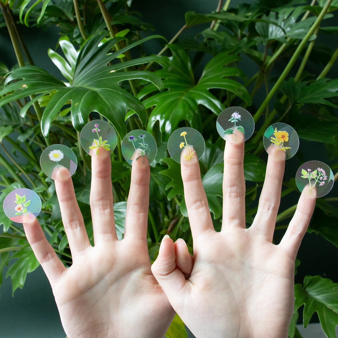 Suncatcher - 8 mini Wildflowers Stickers