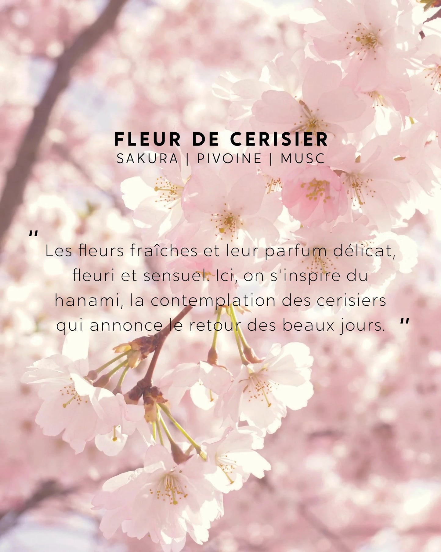 Bougie Bijou Fleur de Cerisier - bracelet perles