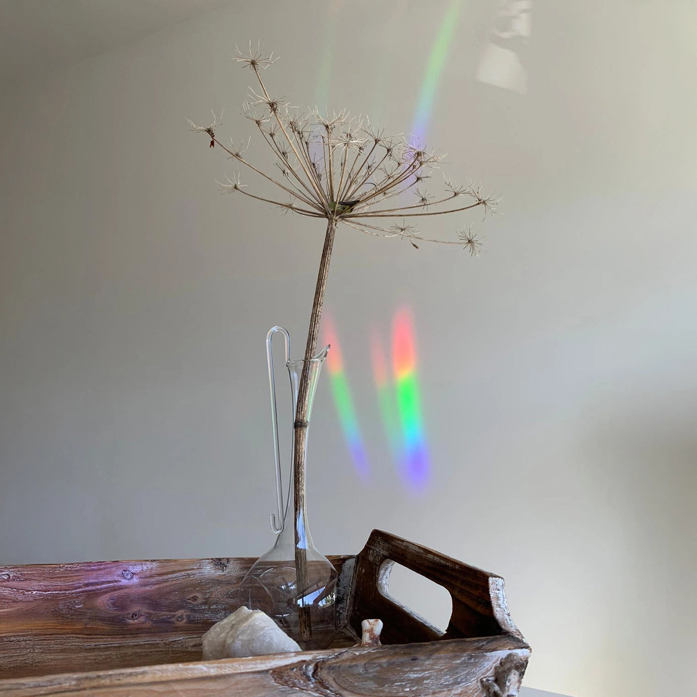 Suncatcher - Flourish