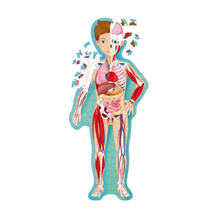 Puzzle - Le Corps Humain