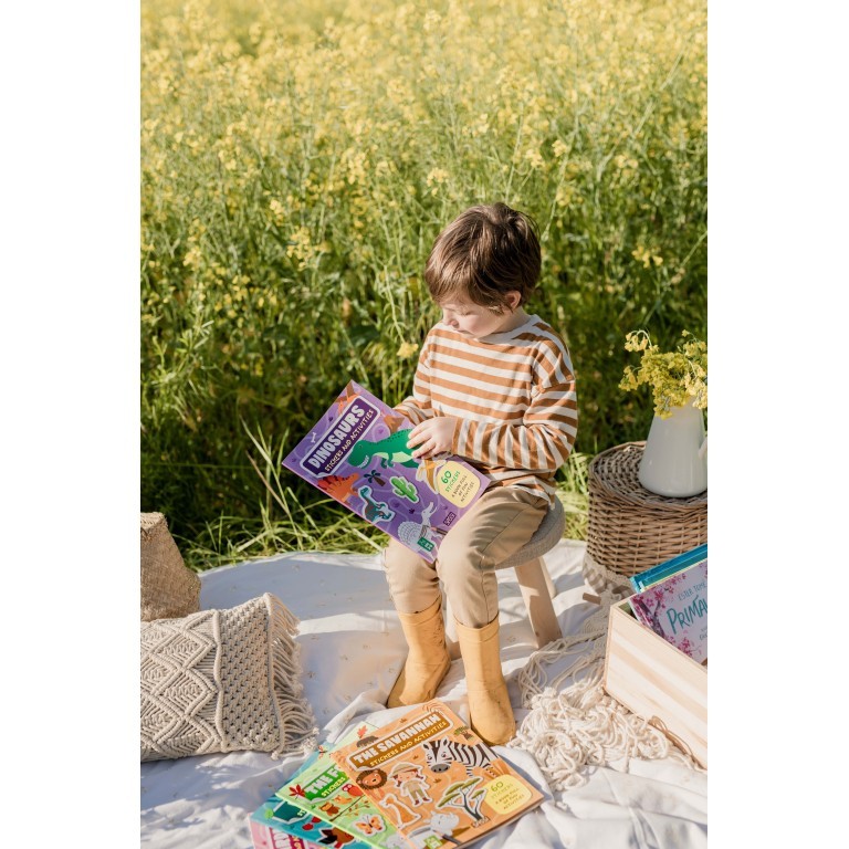 Stickers & Activités - Les Dinosaures