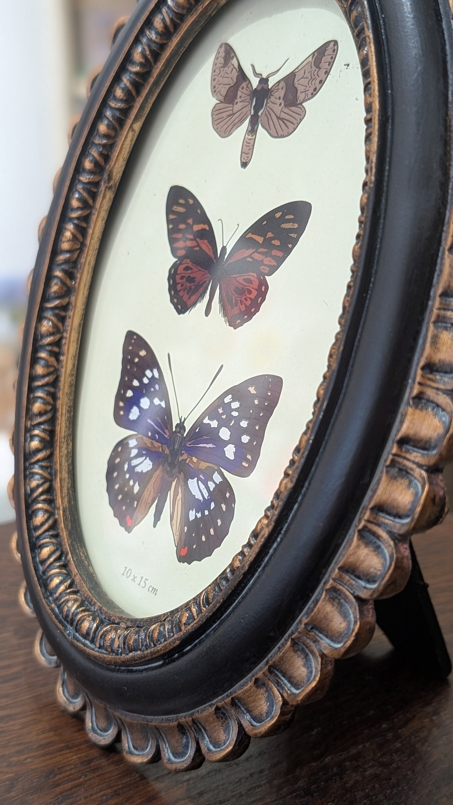 Cadre Orné - Fleur Noir/Doré Ovale