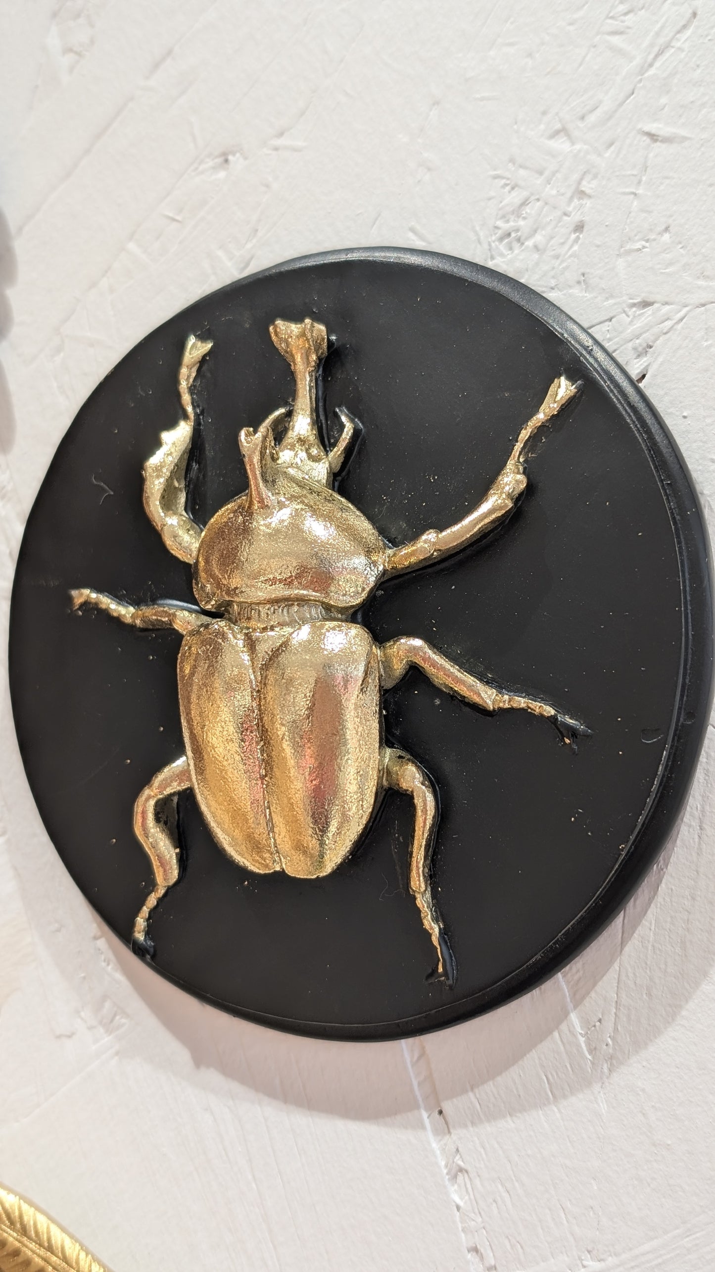 Décoration Murale - Scarabée Noir