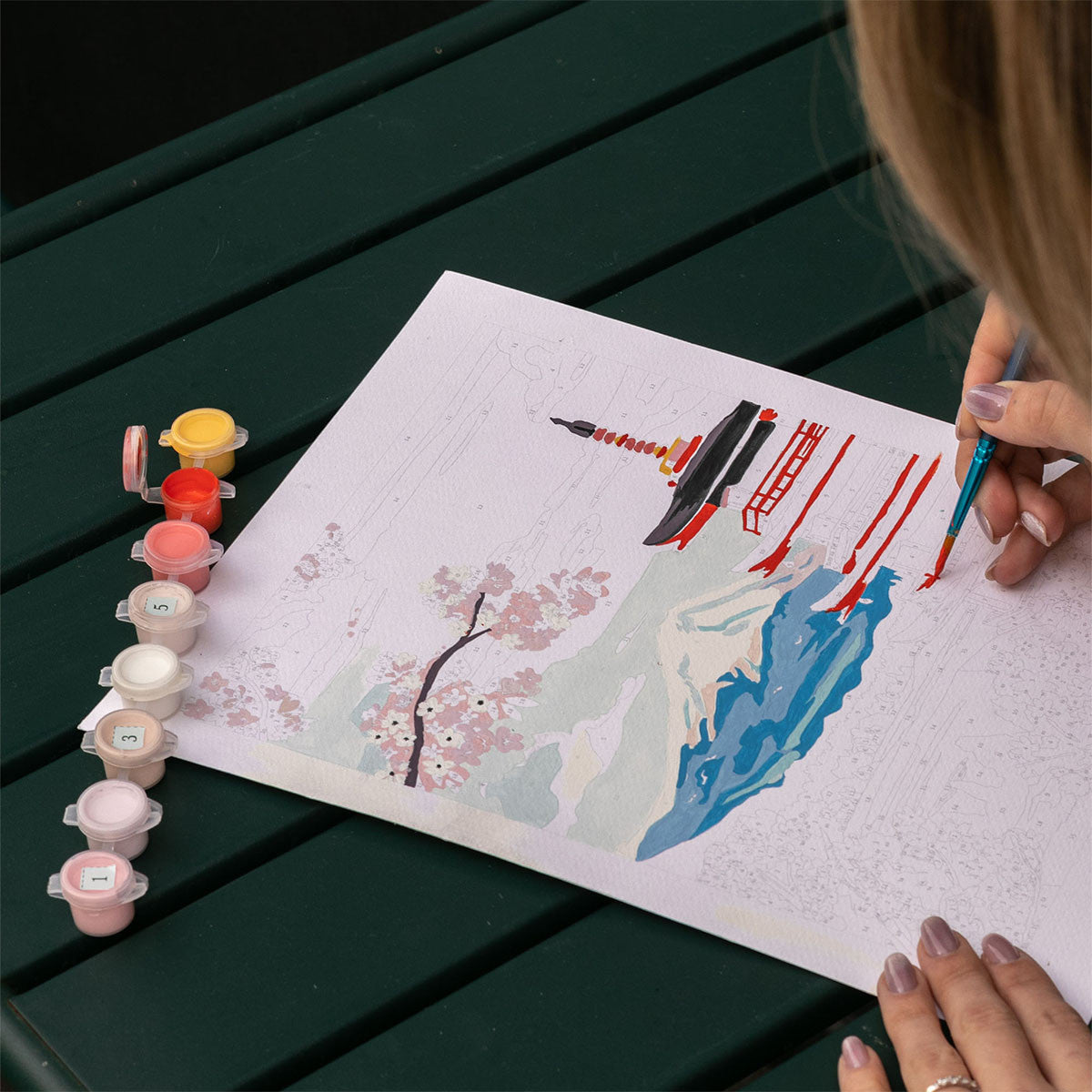 Peinture au numéro - Mont Fuji