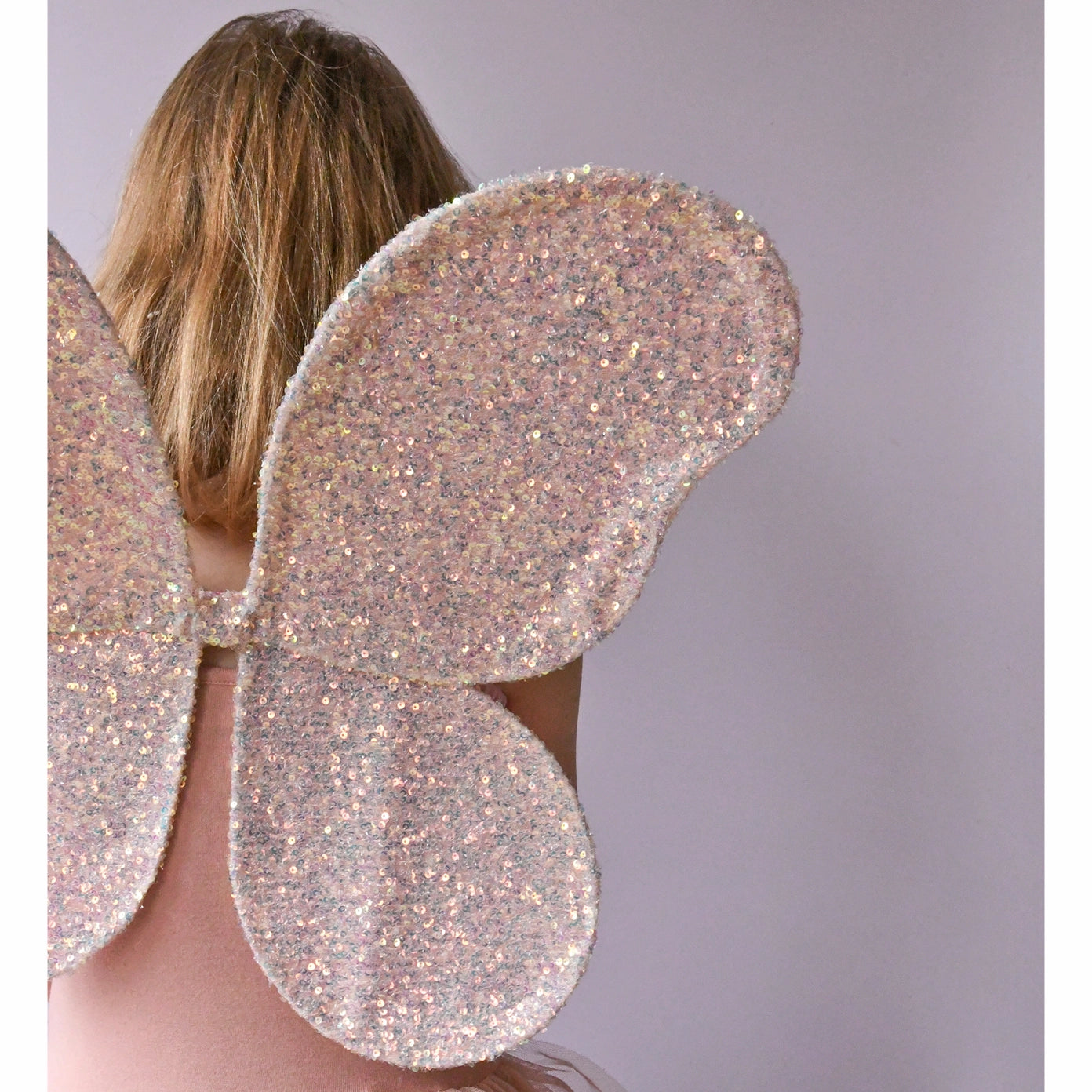 Ailes de fée magiques à paillettes