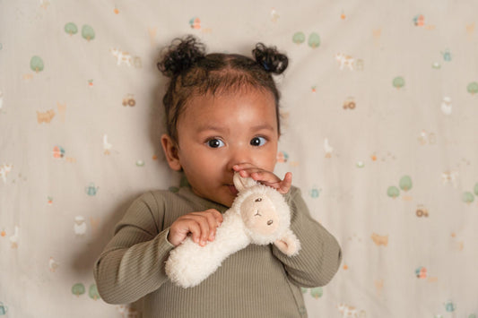 Hochet peluche mouton