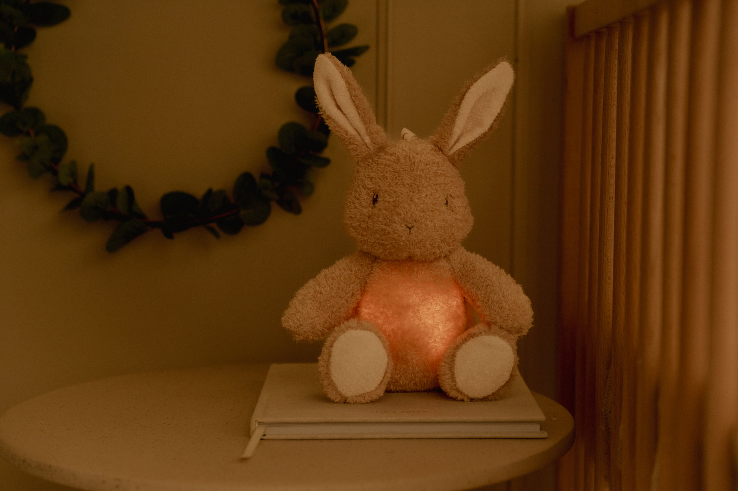 Lapin câlin, Lumière & Son
