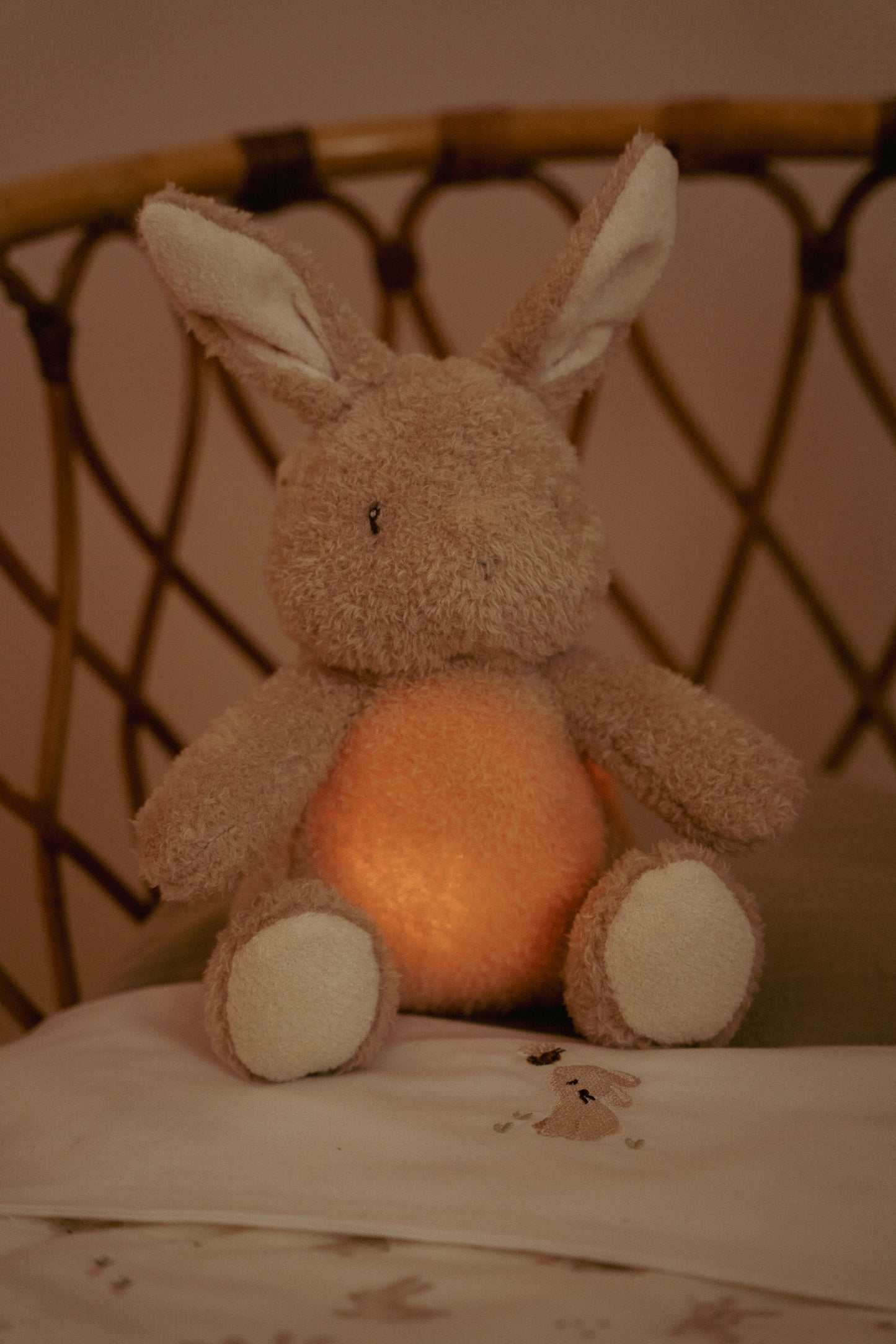 Lapin câlin, Lumière & Son