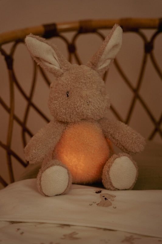 Lapin câlin, Lumière & Son