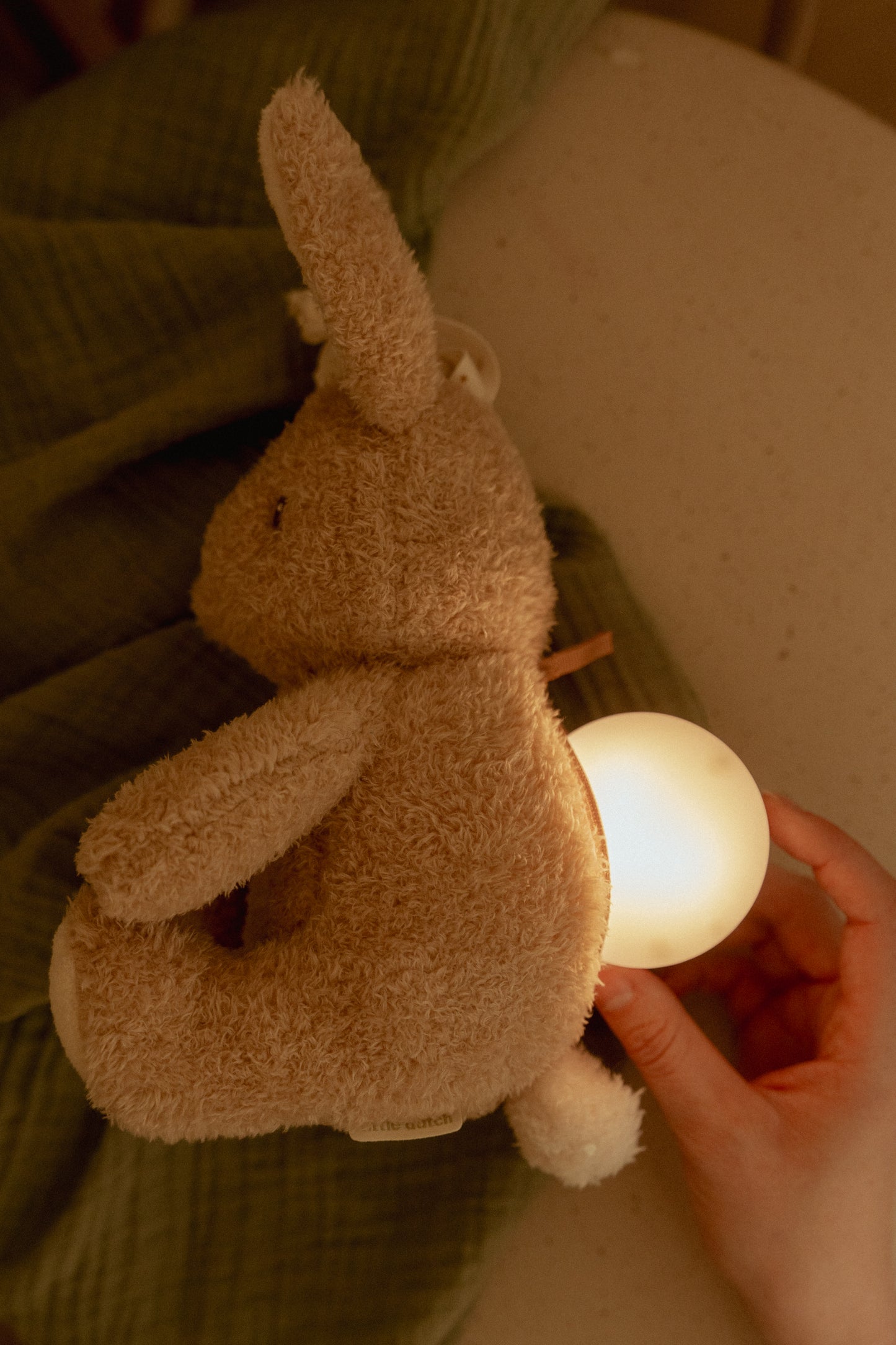 Lapin câlin, Lumière & Son