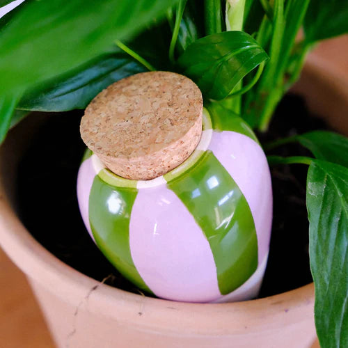 Olla - Rayé Vert & Violet