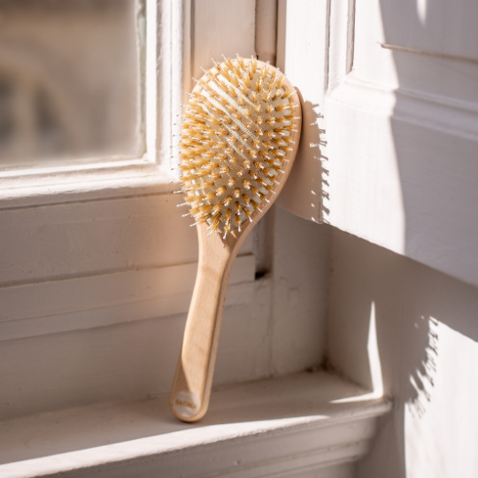 Brosse à Cheveux BACHCA - Démêlage & Brillance Petit format