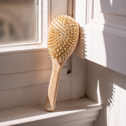 Brosse à Cheveux BACHCA - Démêlage & Brillance Petit format
