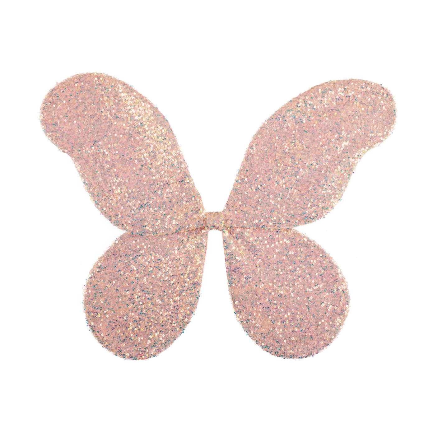 Ailes de fée magiques à paillettes
