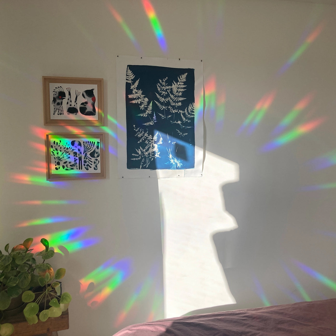 Suncatcher - Slow Down and Soak It Up