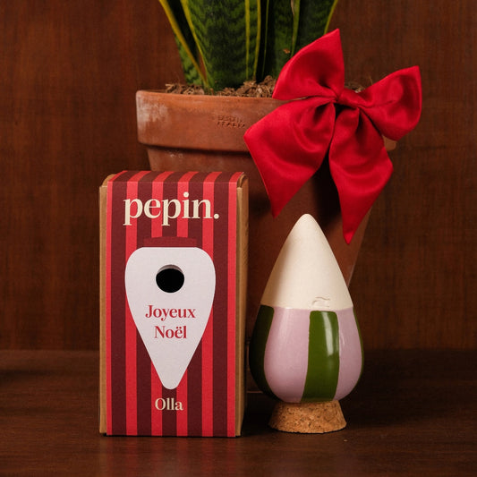 Olla - Rayé Vert & Violet