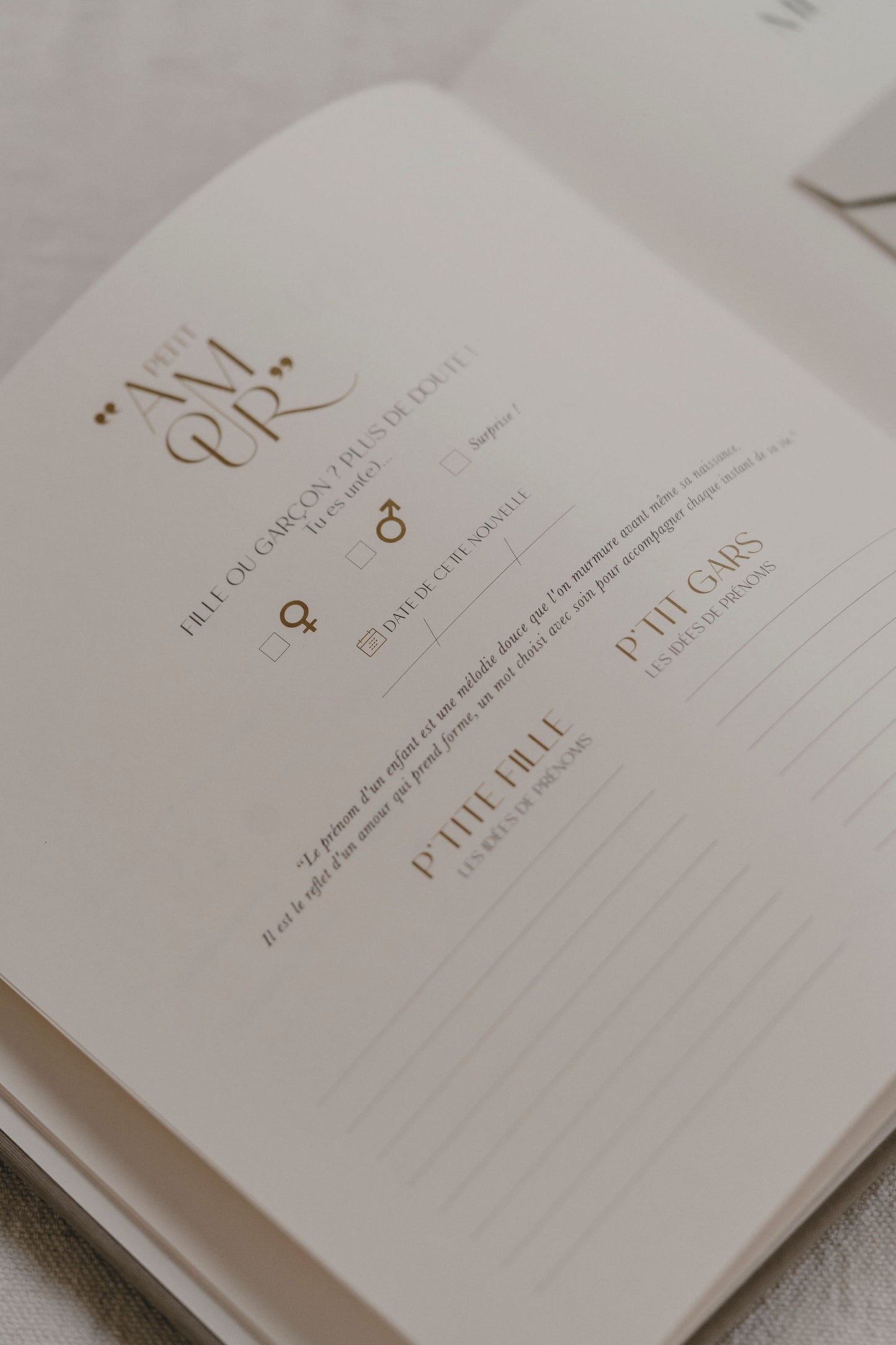 Livre de naissance - Blanc