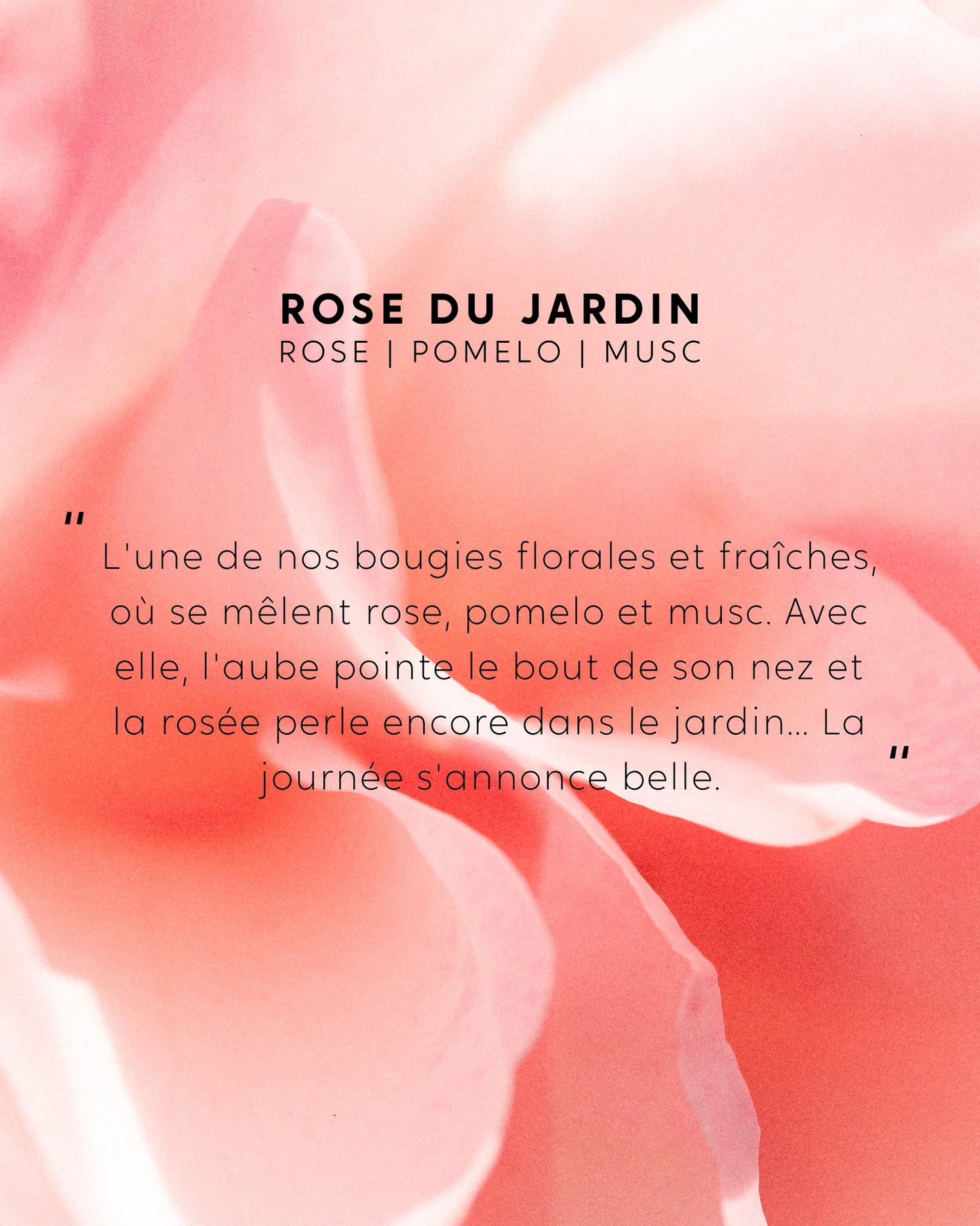 Spray Parfumé d'intérieur Rose du Jardin