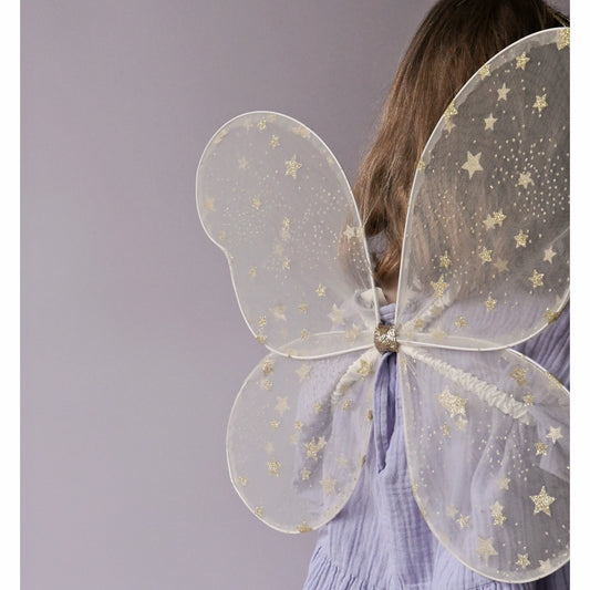 Ailes de fée magiques en tulles - Etoile