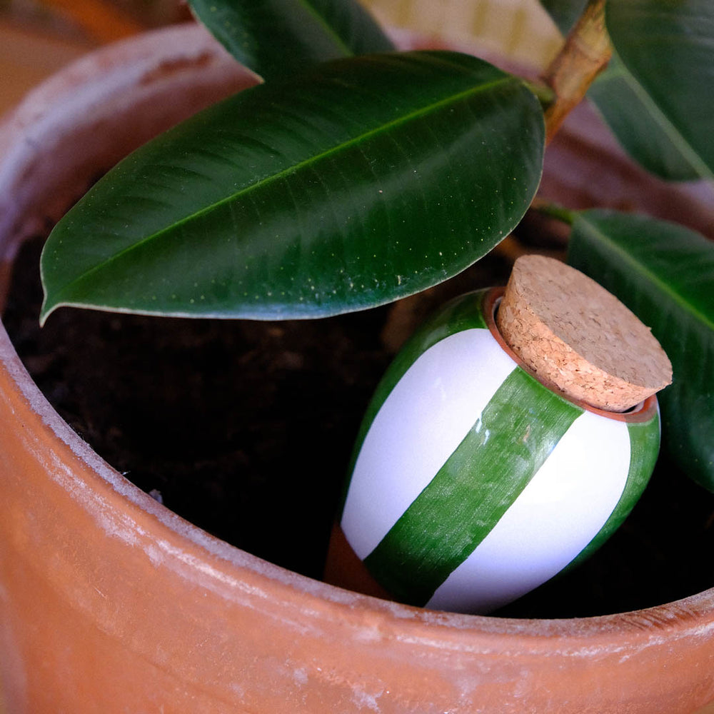 Olla - Vert à Rayures