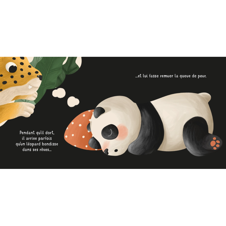 Livre Pas à Pas - Je range la tétine