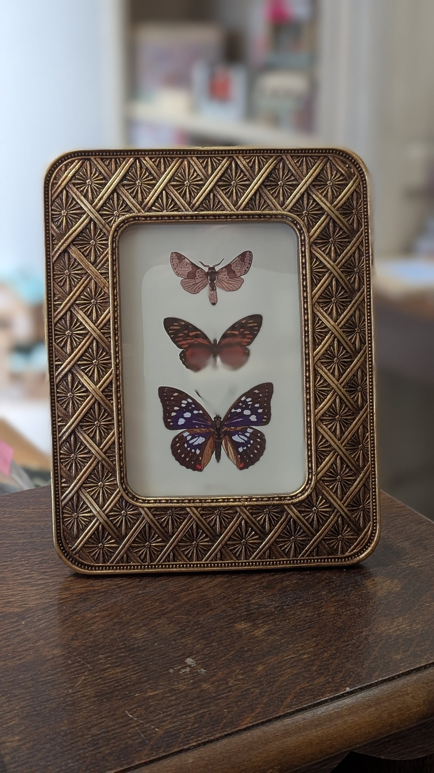 Cadre Orné - Croisillons Doré Vieilli