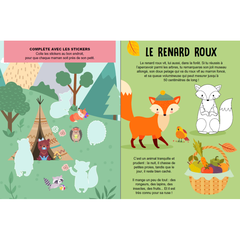 Méga Arts & Crafts - La Forêt Magique