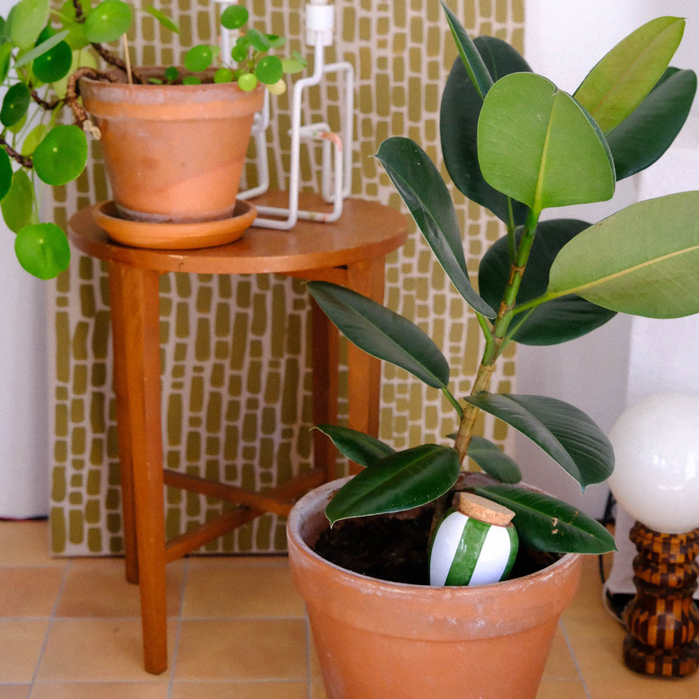 Olla - Vert à Rayures