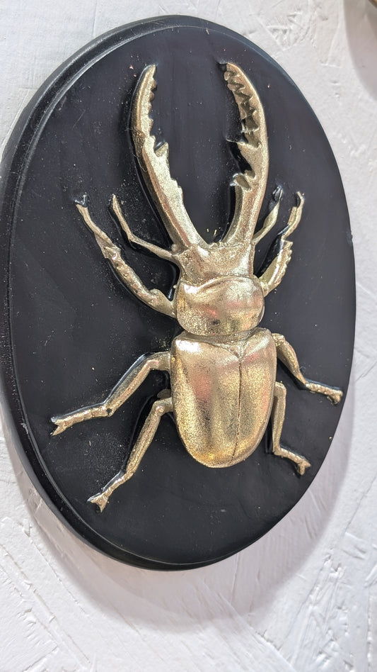 Décoration Murale - Lucarne Noir