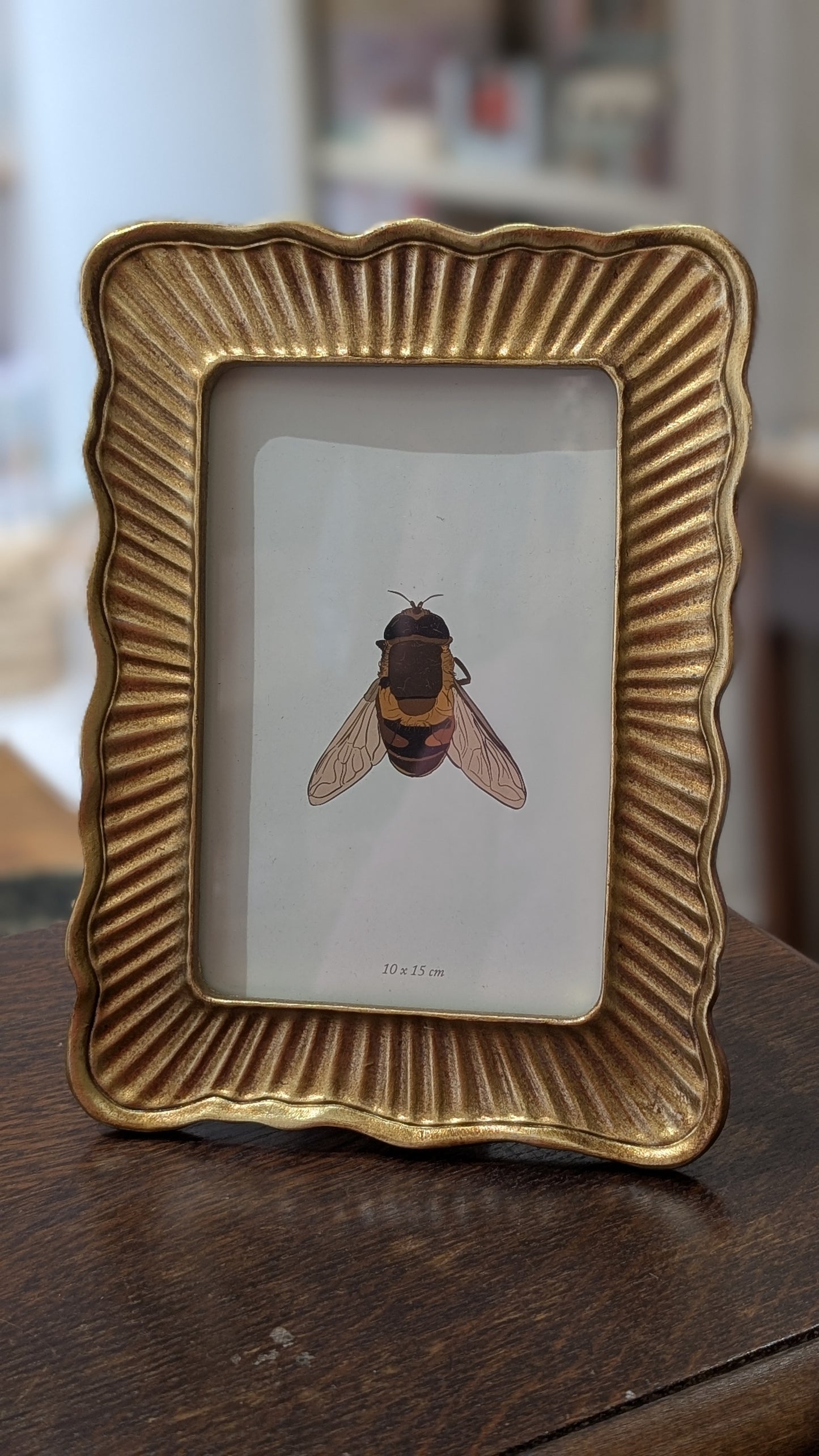 Cadre Orné - Elégant Doré