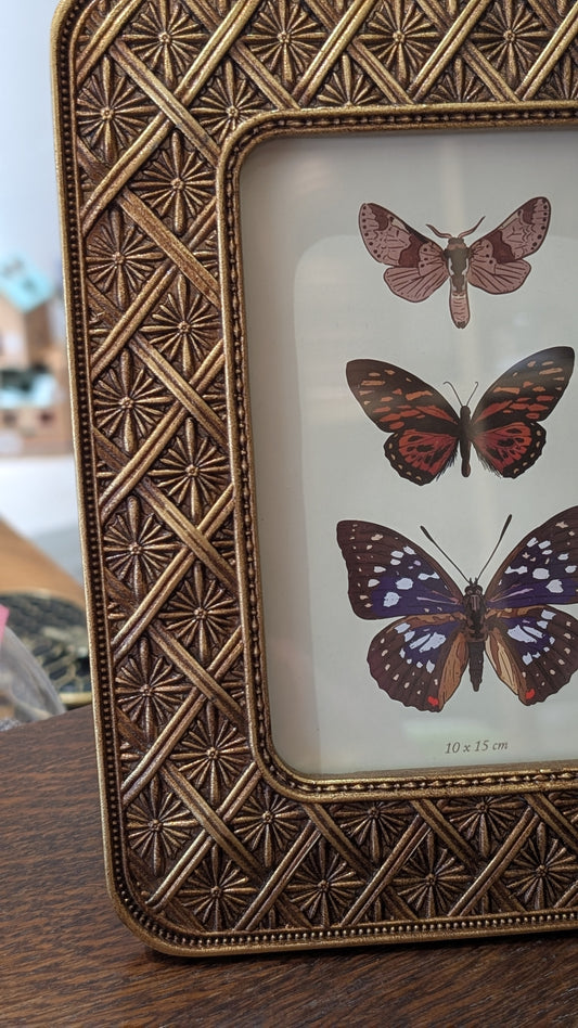 Cadre Orné - Croisillons Doré Vieilli