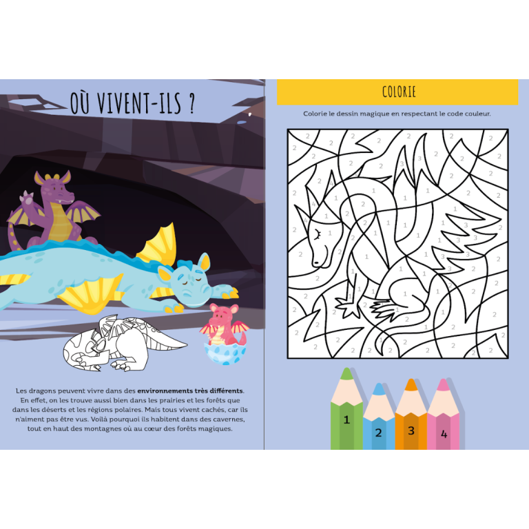 Stickers & Activités - Les Dragons