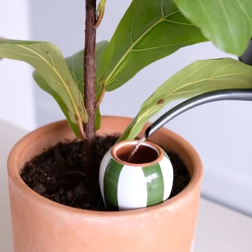 Olla - Blanc Grainé